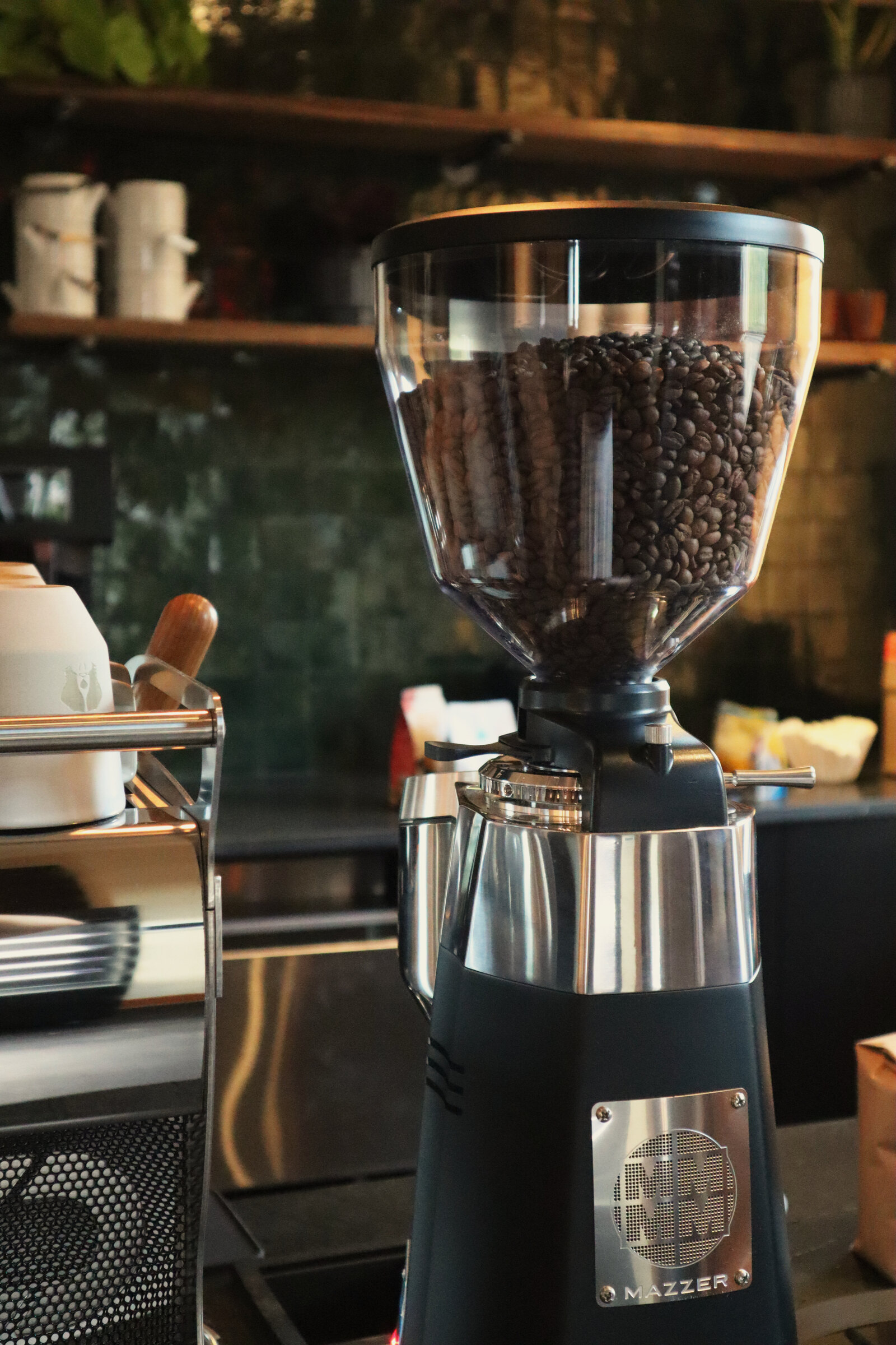 Fresh beans in a coffee grinder
